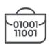 portability strategy