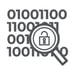 security assessment
